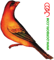 گل و مرغ-۰۰۴