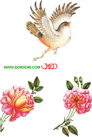 گل و مرغ-۰۰۷