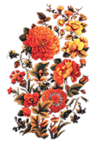 گل و مرغ-۰۰۸