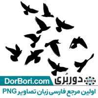 وکتور کبوتر در حال پرواز